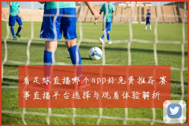 看足球直播哪个app好免费推荐 赛事直播平台选择与观看体验解析