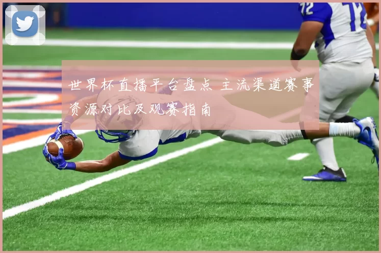 世界杯直播平台盘点 主流渠道赛事资源对比及观赛指南